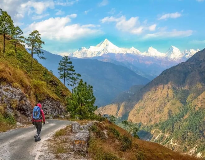 Bagini Glacier Trek Image