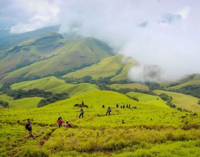 Bangalore to Chikmagalur Package Tour 3 Days Image