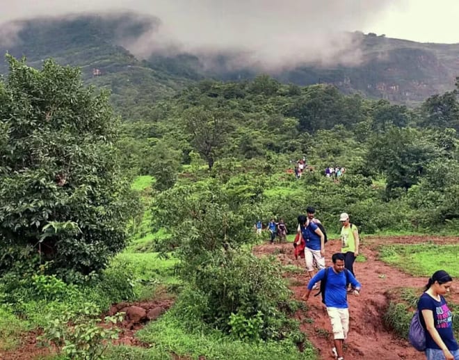 Kalsubai Trek From Pune Image