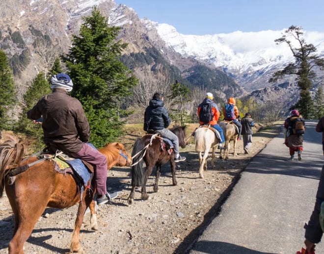 Horse riding in manali Image