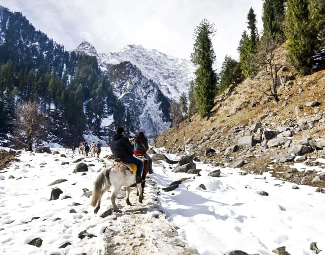 Horse riding in manali Image