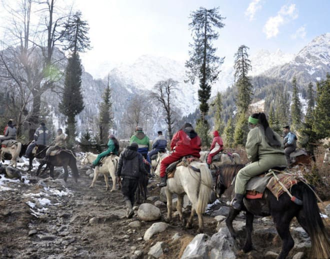 Horse riding in manali Image