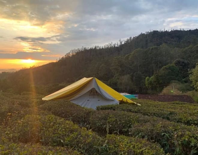 Camping by Tea Gardens Ooty Image