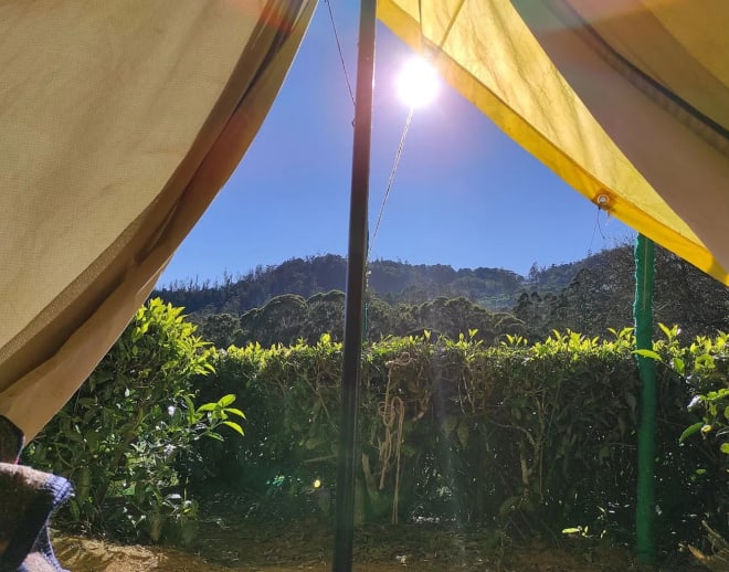 Camping by Tea Gardens Ooty Image