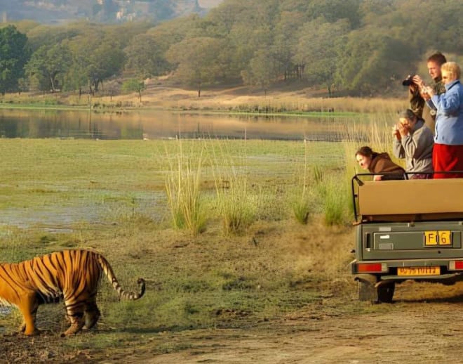 Private Ranthambore Tiger Safari Image