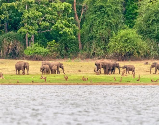 Nagarhole Safari in Coorg Image