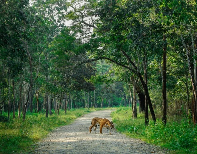 Nagarhole Safari, Coorg Image