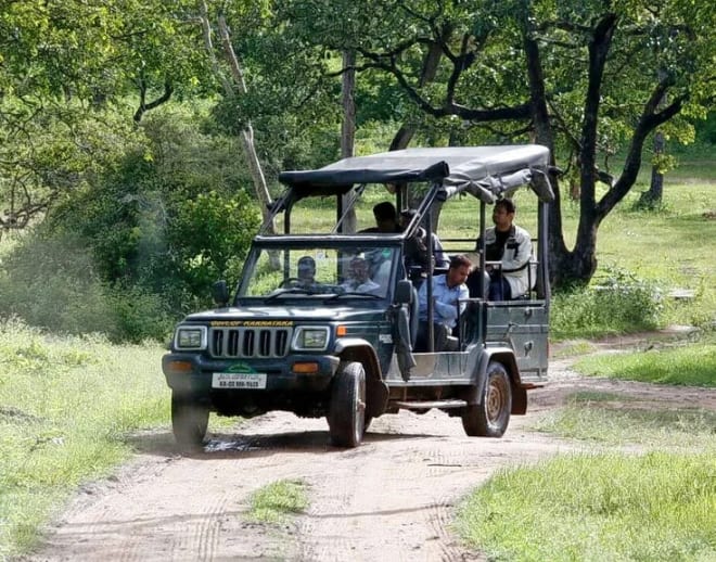 Nagarhole Safari, Coorg Image