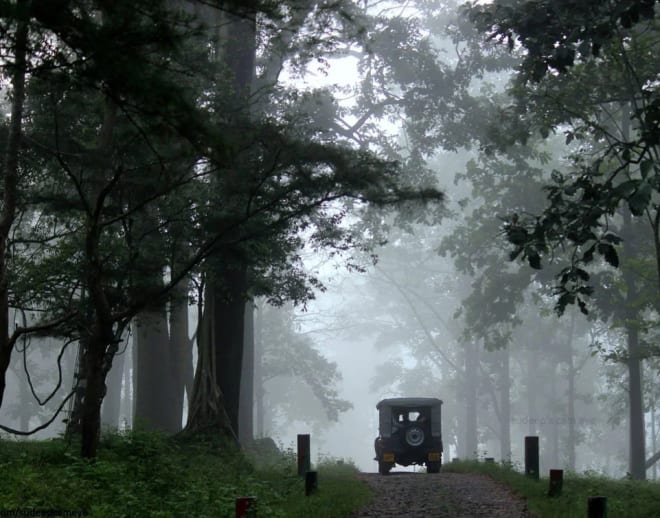 Safari in a Jeep at Tholpetty Wildlife Sanctuary Image