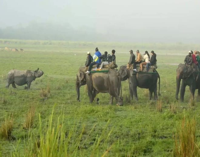 Safari in a Jeep at Tholpetty Wildlife Sanctuary Image