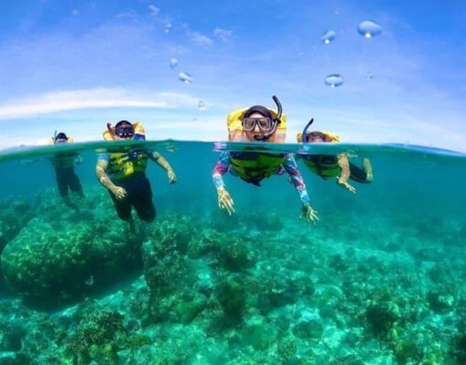 Snorkeling at Elephant Beach, Andaman Image