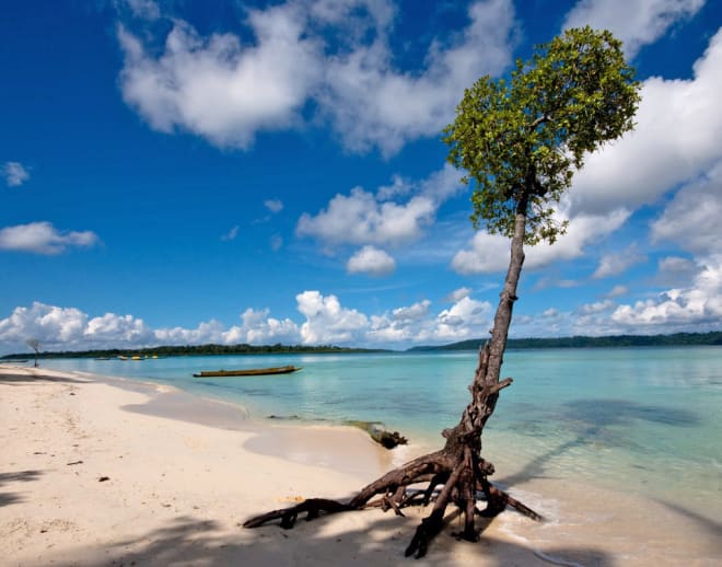 Snorkeling at Elephant Beach, Andaman Image