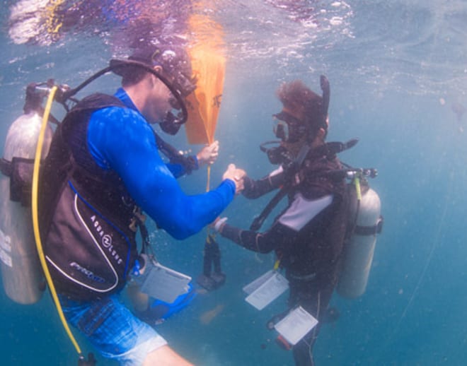 Scuba Diving in Kochi Image