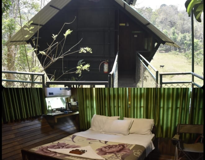 Wayanad Tree House Stay Booking Kerala Image