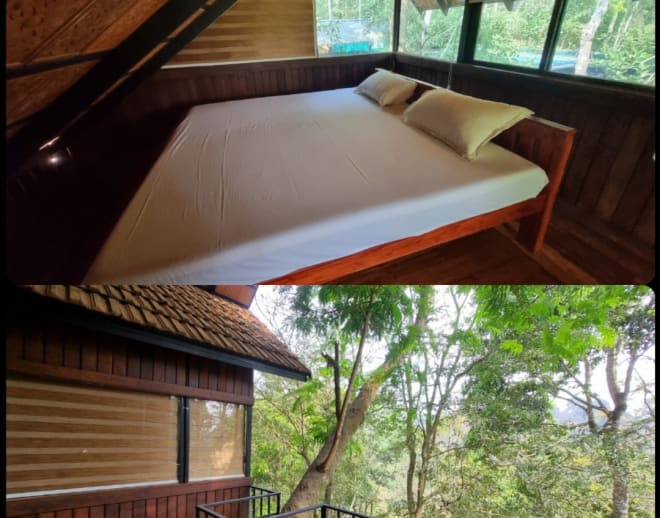 Wayanad Tree House Stay Booking Kerala Image