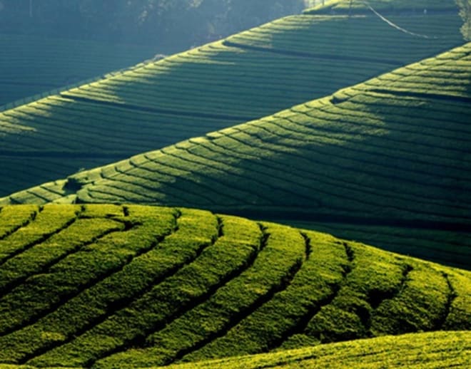 Ooty & Coonoor Tour From Hyderabad Image