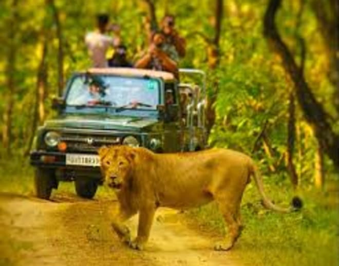 Diu Tour Package From Ahmedabad Image