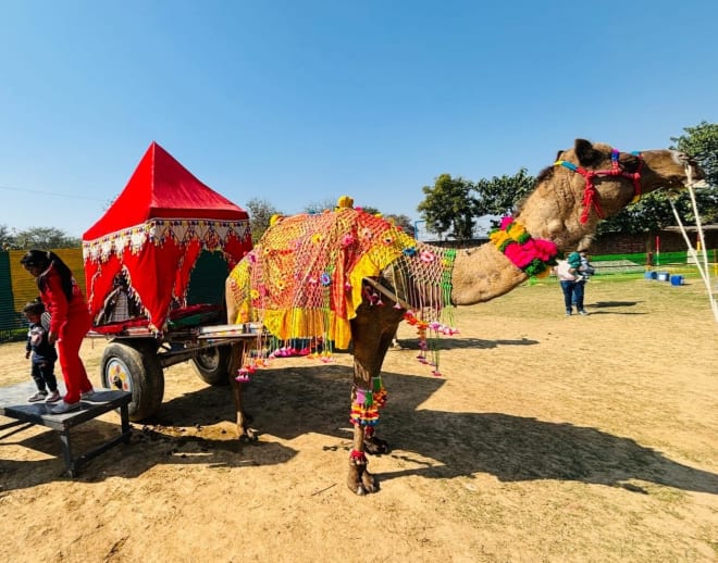 Surajgarh Farms Day Out (Wildvadi Theme Park), Gurugram Image