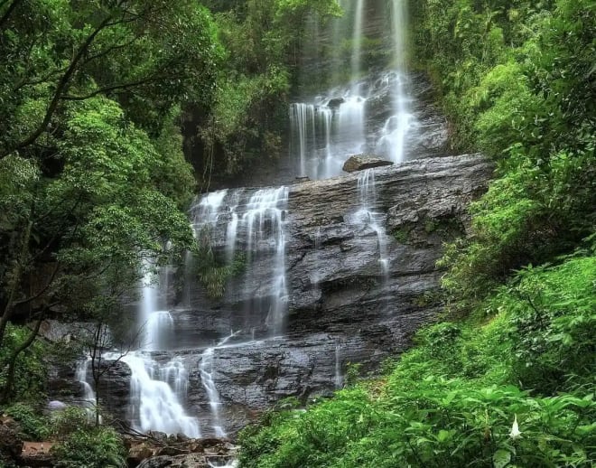 Coorg Chikmagaluru Mysore Tour Package from Pune Image