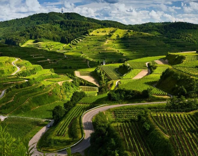 Coorg Chikmagaluru Mysore Tour from Hyderabad Image