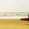 Windsurfing In Goa review