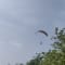 Anjuna Paragliding North Goa review