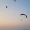 Anjuna Paragliding North Goa review