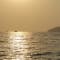 Candolim Beach Dolphin Tour North Goa review