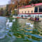 NAINITAL TOUR PACKAGE FOR COUPLES review