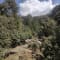 Kareri Lake Trek from Delhi review