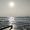 Yacht Sailing in Mumbai review
