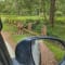 Nagarhole National Park Safari review