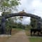 Nagarhole National Park Safari review