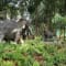 Pragati Resort Day Outing Package review