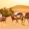 Overnight Desert Safari in Dubai With BBQ Dinner and Transfers review