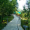 Amara Resort Manali review