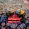 Overnight Desert Safari in Dubai With BBQ Dinner and Transfers review
