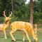 Pragati Resort Day Outing Package review