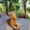 Pragati Resort Day Outing Package review
