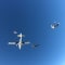 Skydiving In Dubai review