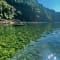Dawki Camping review