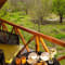Larisa Resort Manali review