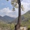 Bungee Jumping in Rishikesh review