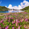 Valley of Flowers Trek with Hemkund Sahib review