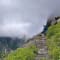 Valley of Flowers Trek with Hemkund Sahib review