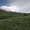 3D/2N Bhrigu Lake Trek 2025 review