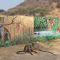 Jhalana Leopard Safari Tickets review