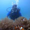 Scuba Diving in Havelock Islands, Andaman review