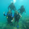 Scuba Diving in Havelock Islands, Andaman review