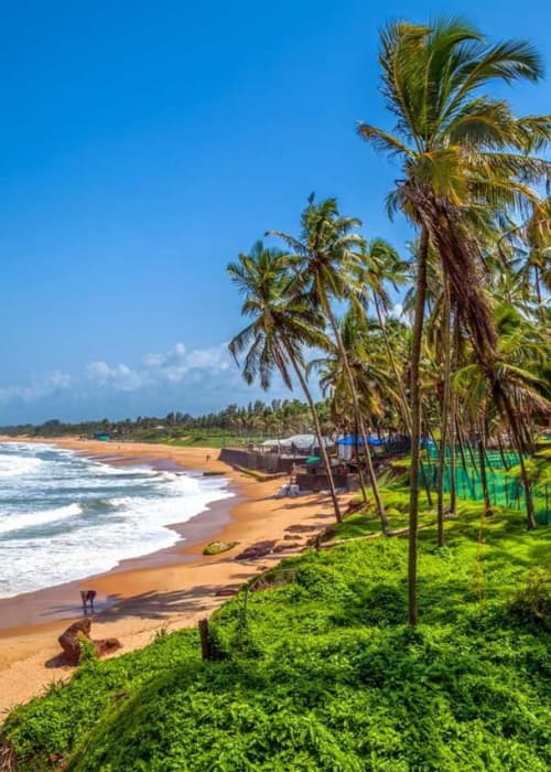Mangalore